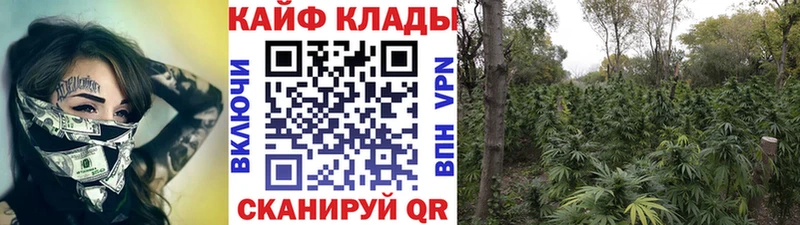 Наркота Олонец Амфетамин  MDMA  Гашиш  Каннабис  МЕФ  Cocaine  A-PVP 