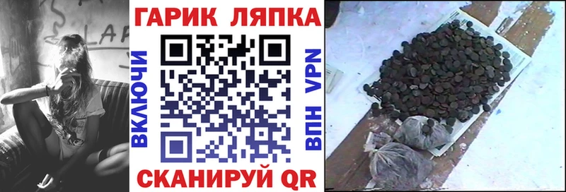 ГАШ VHQ Олонец