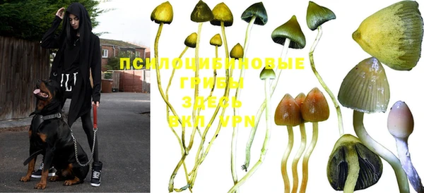 герыч Наволоки