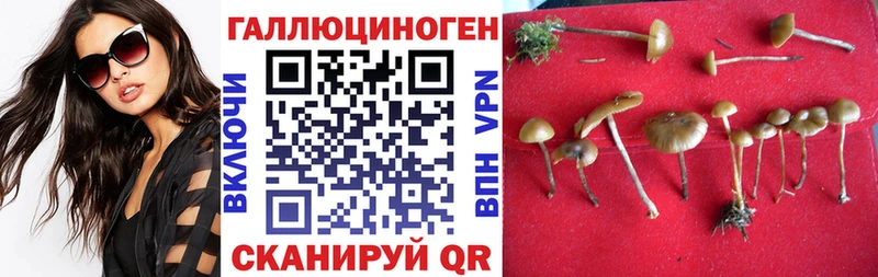 Галлюциногенные грибы MAGIC MUSHROOMS  блэк спрут рабочий сайт  Олонец 